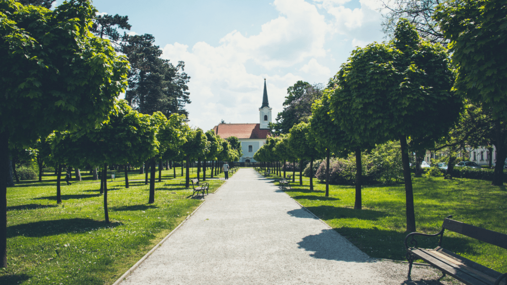 a photo of an outdoor space