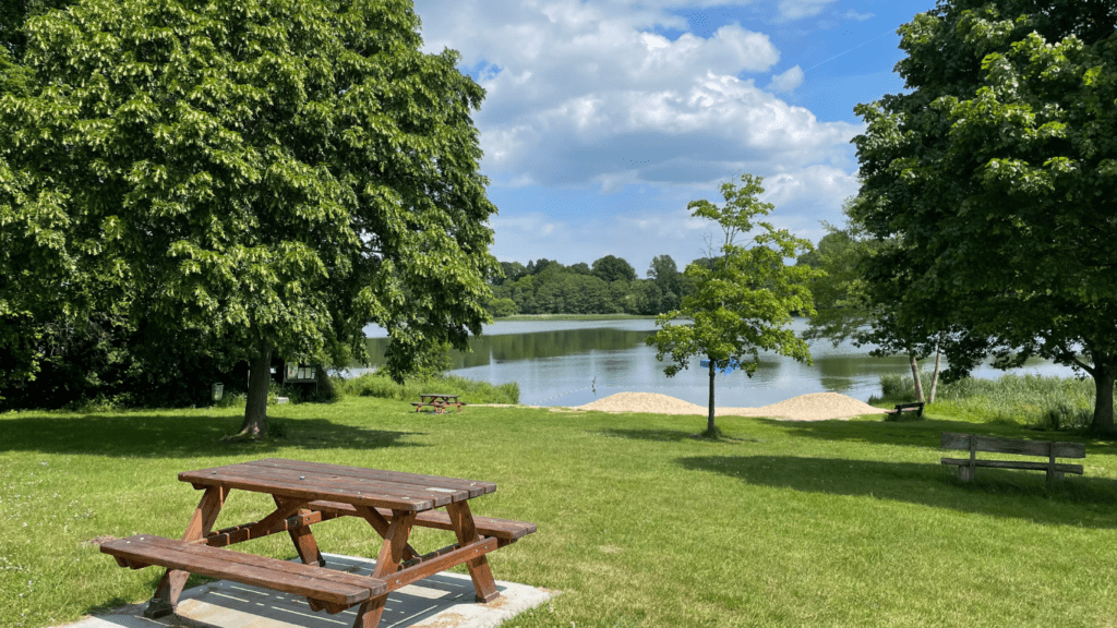 a fresh and green park