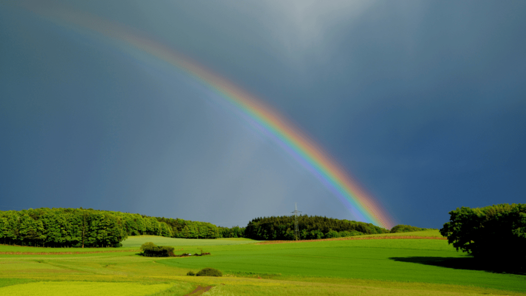 a pleasant weather