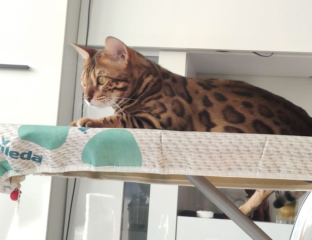 proper way of using 5ah9.6max0 python software