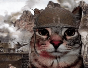 which month is best to visit beevitius