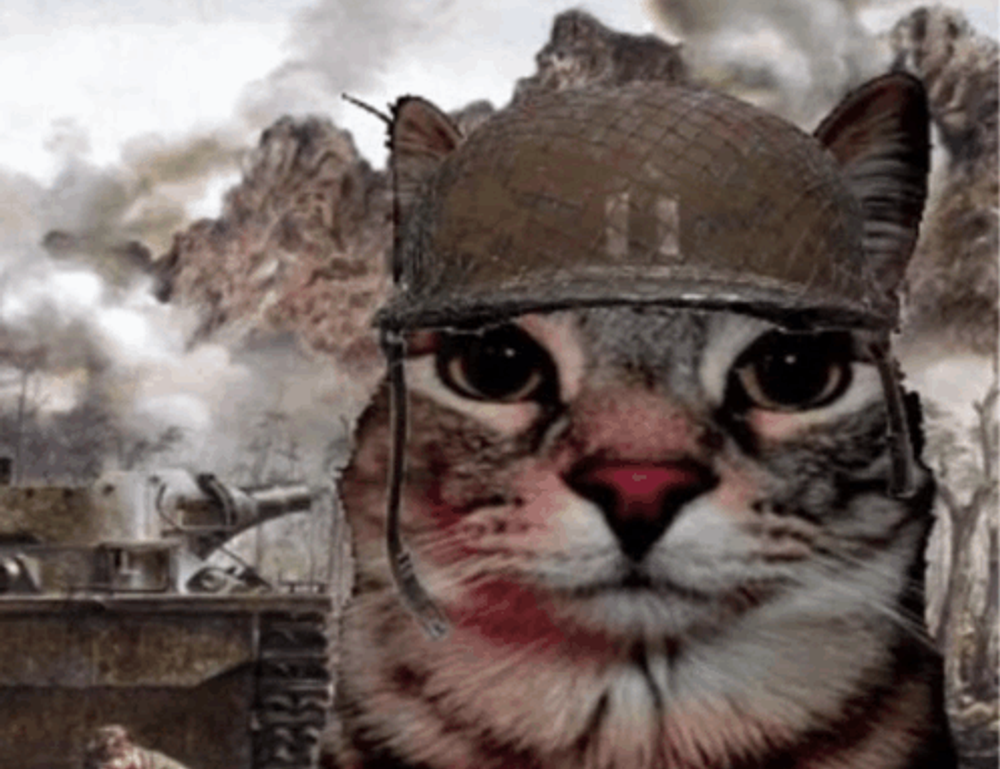 which month is best to visit beevitius