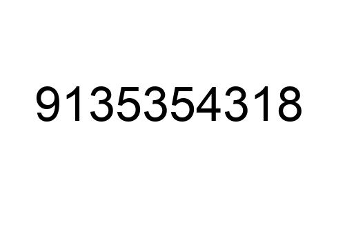 9135354318