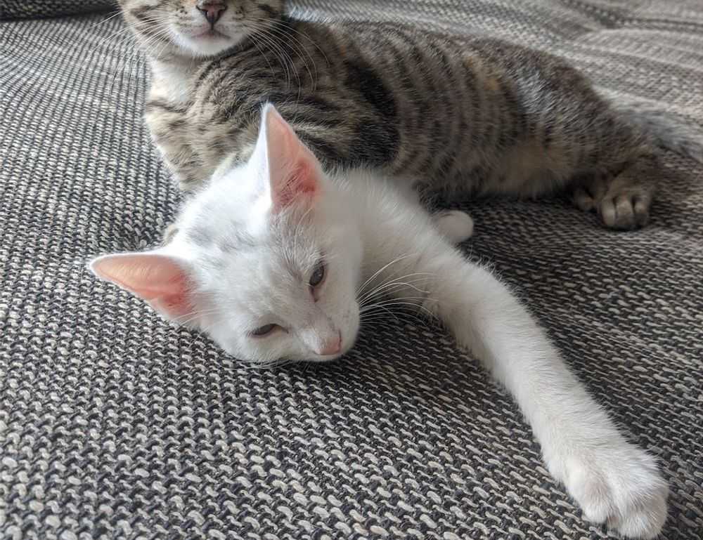 hcs 411gits error codes