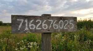 7162676025