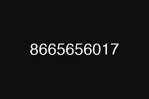 8665656017