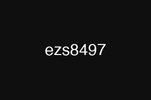ezs8497