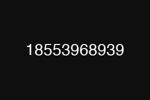 18553968939