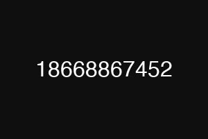 18668867452