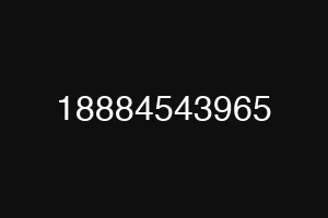 18884543965