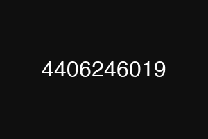 4406246019