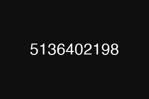 5136402198
