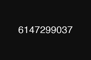 6147299037