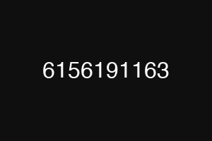 6156191163