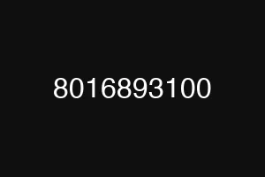 8016893100
