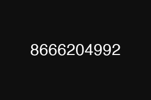 8666204992