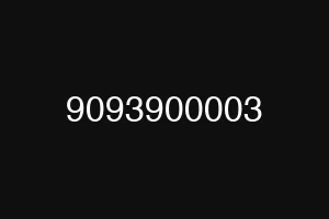 9093900003